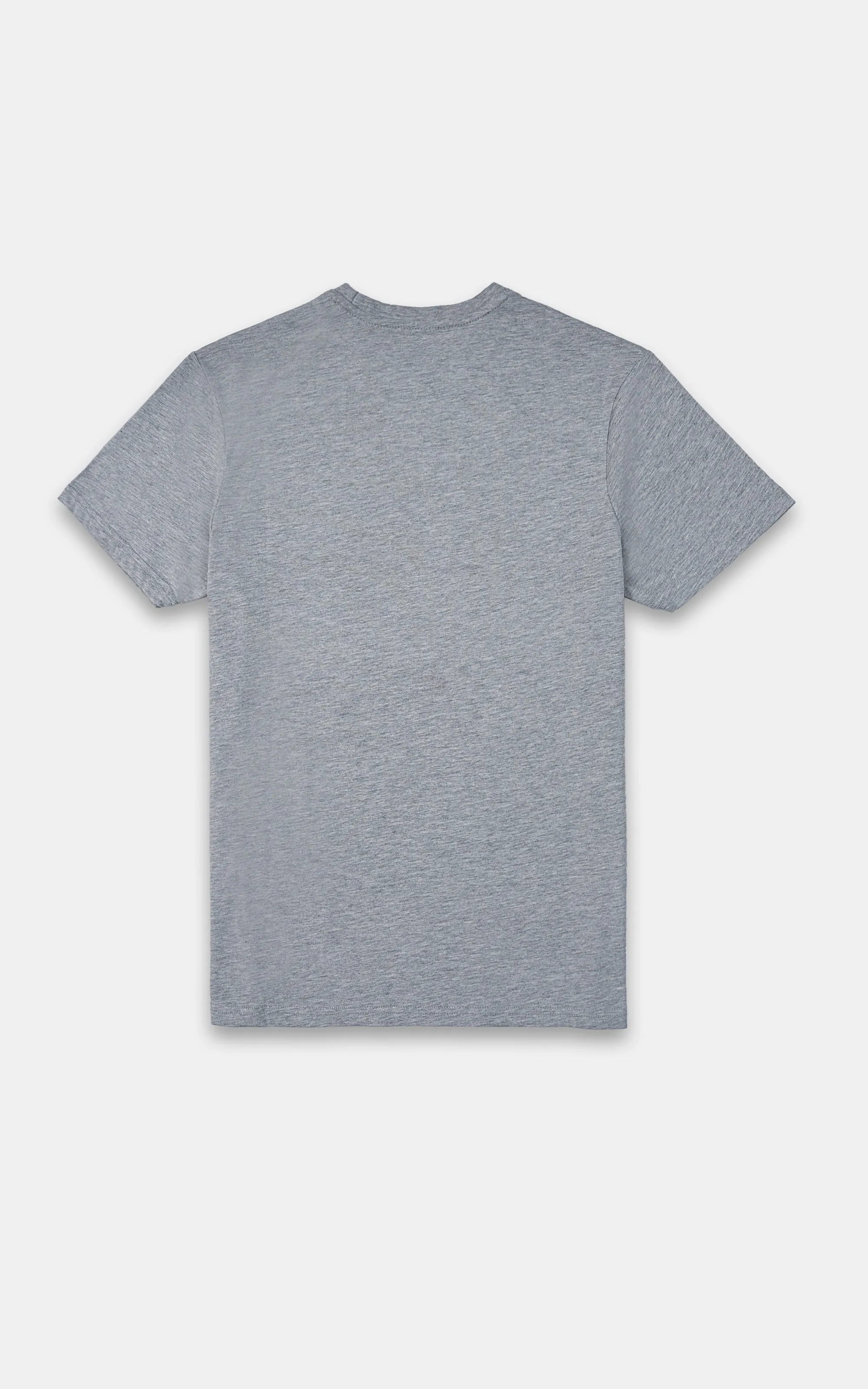 GRAPHIC T-SHIRT HEATHER GREY